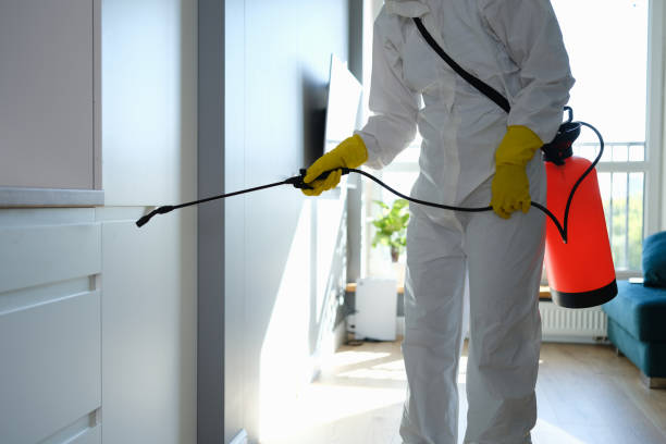 Best Post-Remediation Services in Potterville, MI
