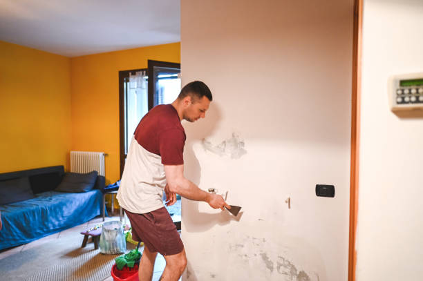 Best Industrial Mold Remediation in Potterville, MI